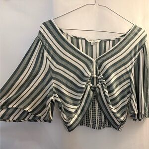 American Eagle Outfitters Green and White Striped Crop Top